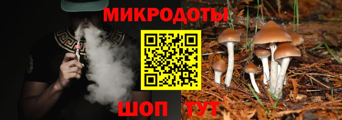Псилоцибиновые грибы мухоморы  Вход с VPN  Минусинск 